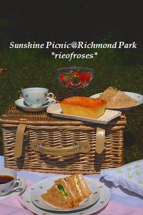 PICNIC HAMPER PICNIC HAMPER