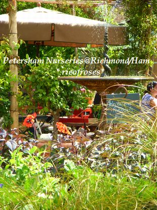 Petersham Nurseries cafe Petersham Nurseries cafe