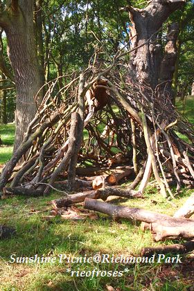 Tree house Tree house