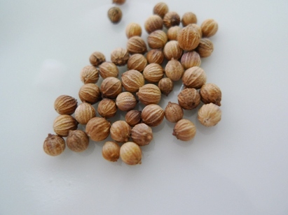 asajkan3