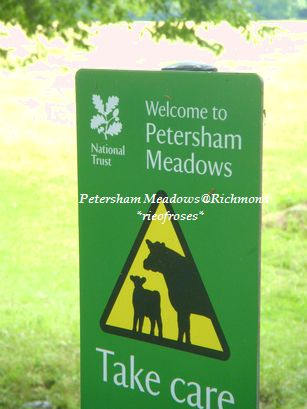 national trust national trust