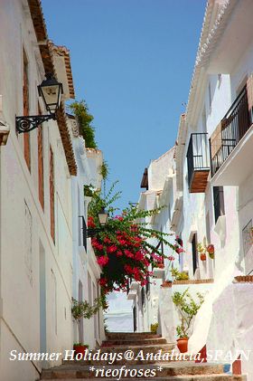 White White