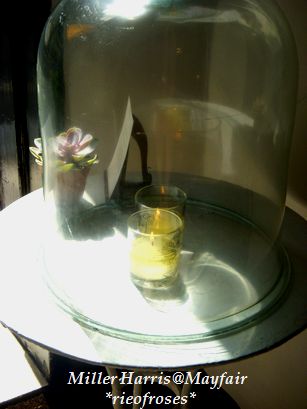 candle candle