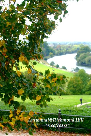 Autumnal 003 Autumnal 003