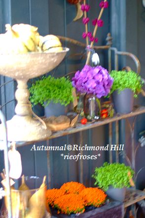 Autumnal 024 Autumnal 024