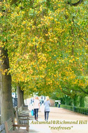 Autumnal 036 Autumnal 036