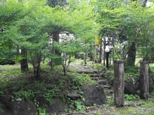 IMGP2822 IMGP2822