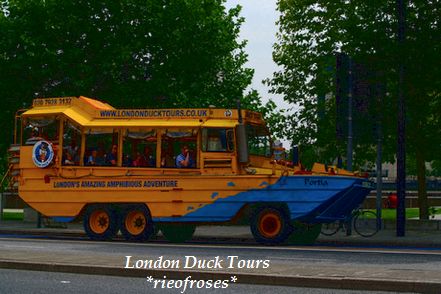 duck duck