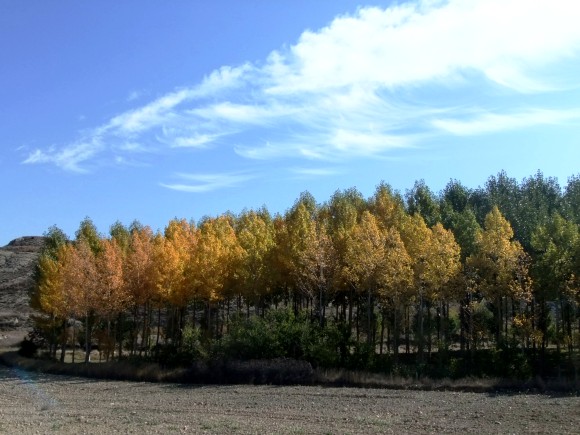 DSCF4356