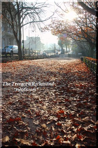 12 13 November 2011 024