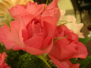 DSC03405