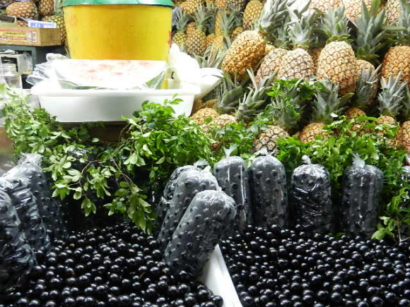 jabuticaba mercado mg
