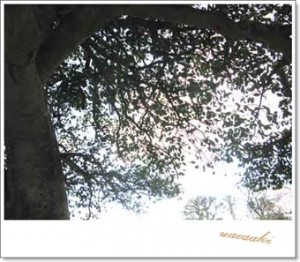 IMG_3692 IMG_3692
