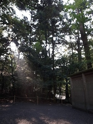 R0010626