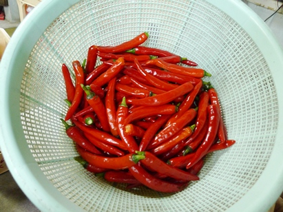 asajikan-1 asajikan-1