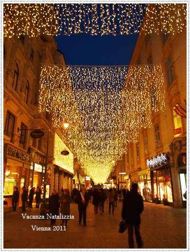 vienna1