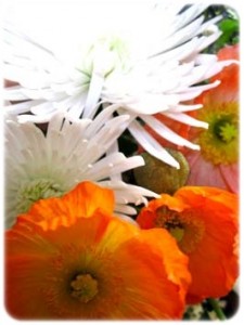 IMG_3796 IMG_3796