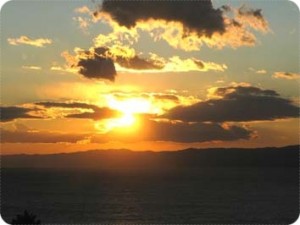 IMG_3810 IMG_3810