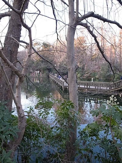 R0011404 R0011404