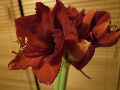 R0011530