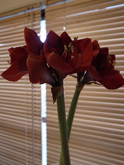 R0011540