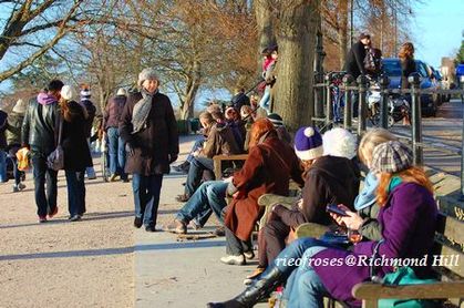 bench bench