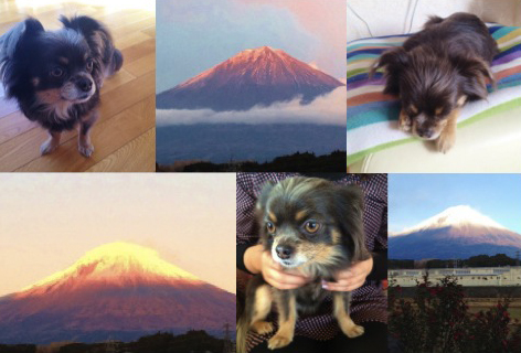 nana-fuji nana-fuji