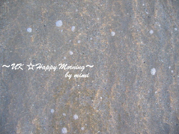 2012-02-17-2 2012-02-17-2