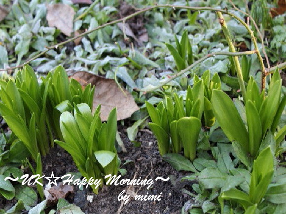 2012-02-19-2