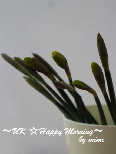 2012-02-23-2 2012-02-23-2