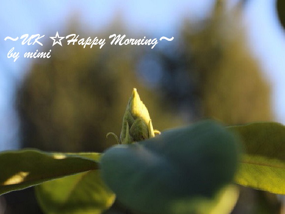 2012-02-25-2 2012-02-25-2
