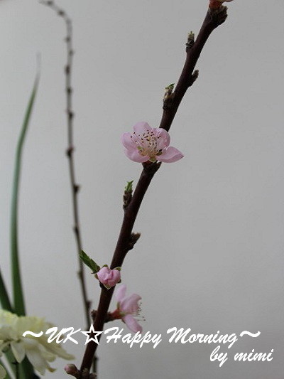 2012-03-02 2012-03-02