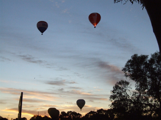 DSCF0903 DSCF0903