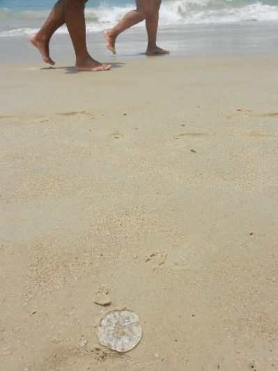 Floripa praia 6