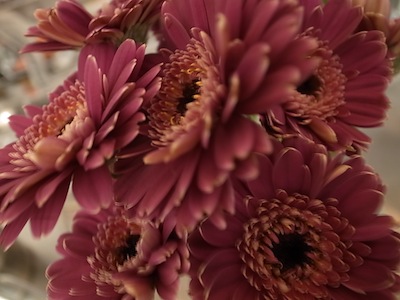 R0011646