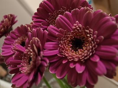 R0011652