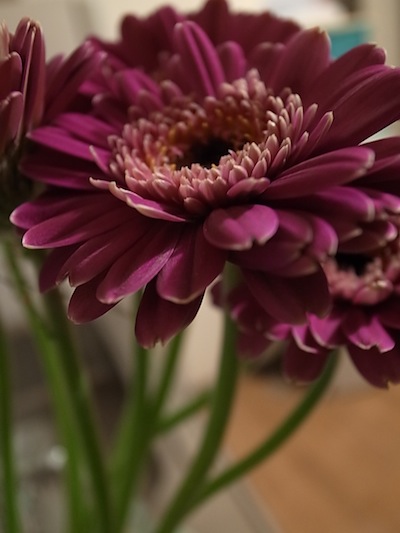 R0011654