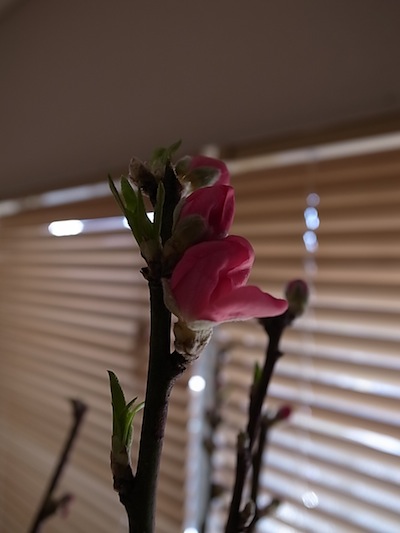 R0011783
