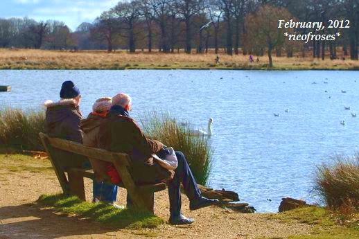 ponds ponds