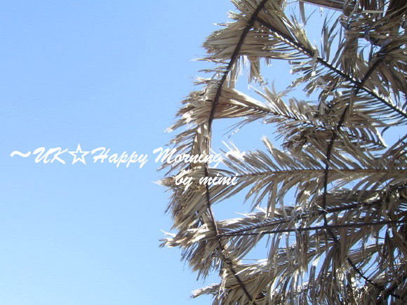 2012-03-10-2