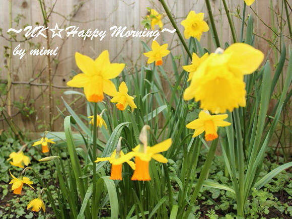 2012-03-20-1