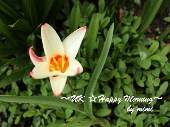 2012-03-20-2 2012-03-20-2