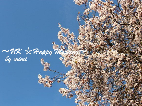 2012-03-20-3