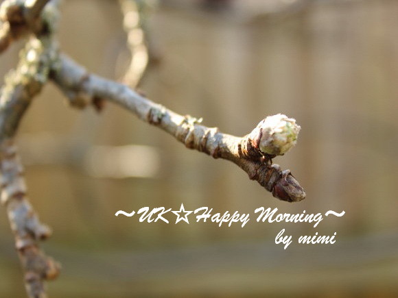 2012-03-20-4 2012-03-20-4