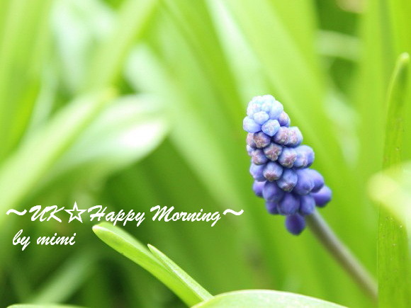 2012-03-24-5