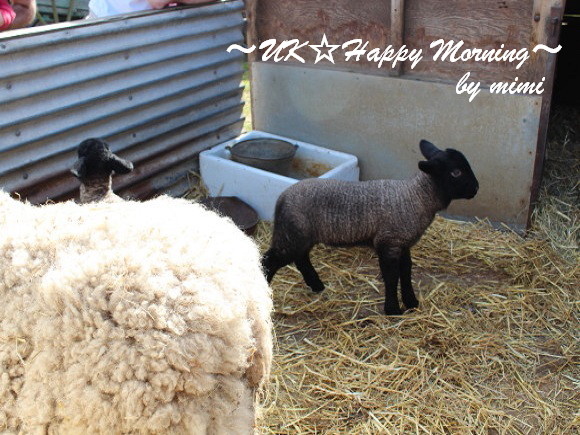 2012-03-28-1 2012-03-28-1