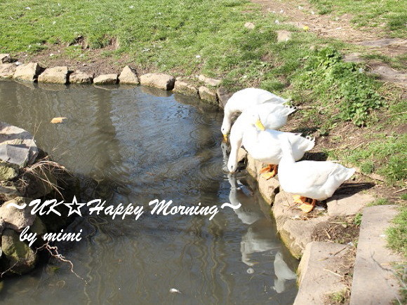 2012-03-28-5 2012-03-28-5