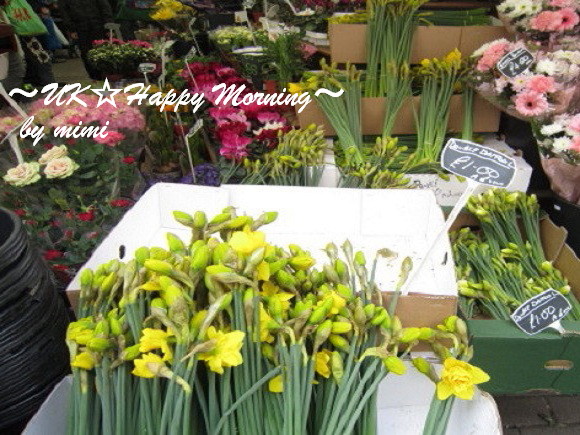 2012-03-29-1