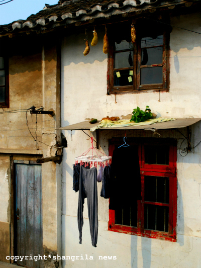 DSC_0590 DSC_0590