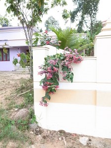 R0012121